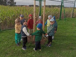 2025-09-18 Przytul się do drzewa